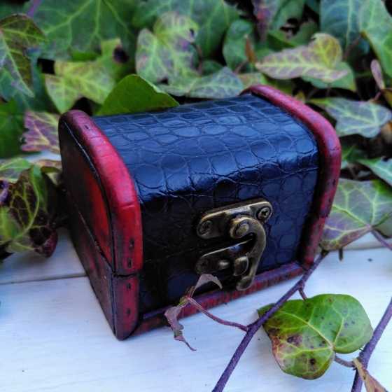 Mini Krimskramsdose - Schwarz