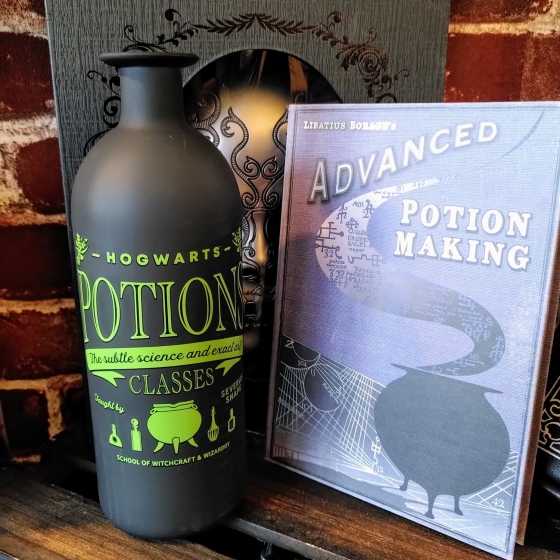 Potion Vase - Harry Potter