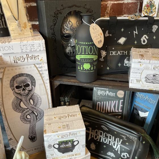 Vase Potion  - Harry Potter