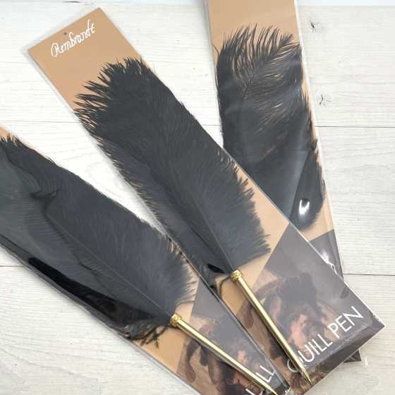 Stylo Plume Autruche
