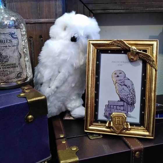 Warner Bros Harry Potter Alumni Gold Fotorahmen Hedwig