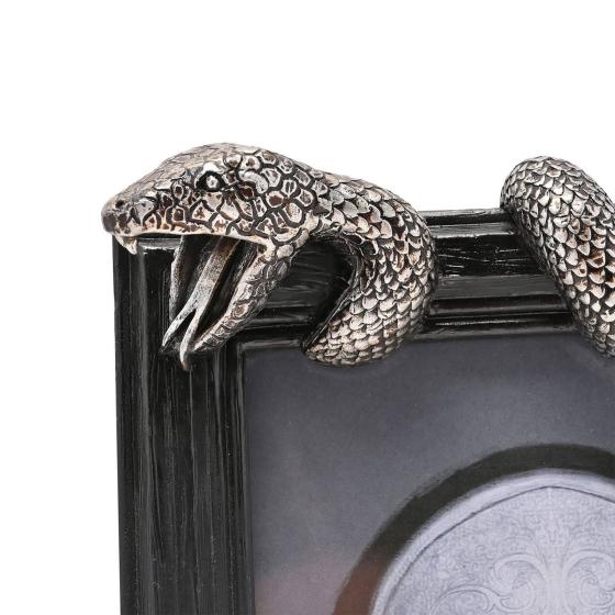 Cadre photo "Death Eaters" Nagini - Dark Arts - Warner Bros Harry Potter