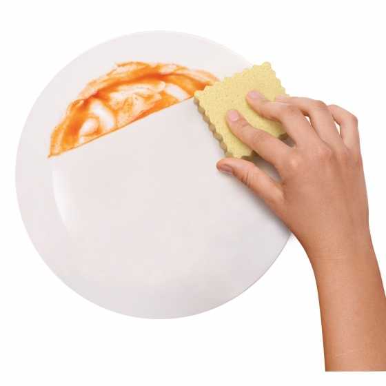 Eponges "Ravioli" - Fred Spongioli