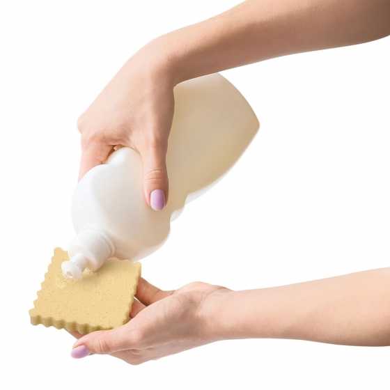 Eponges "Ravioli" - Fred Spongioli