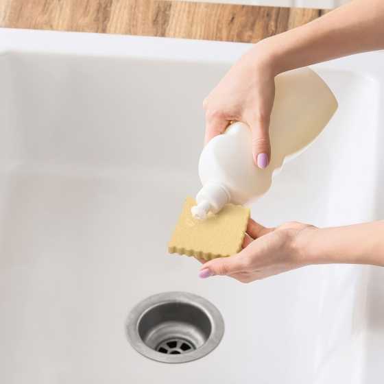 Eponges "Ravioli" - Fred Spongioli