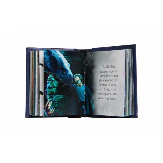 The Dark Arts (Tiny Book) - Harry Potter