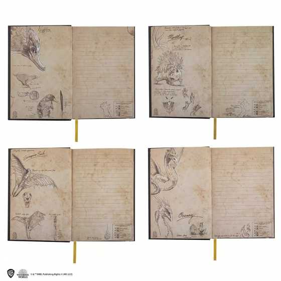 Carnet rigide Norbert Dragonneau - Newt Scamander - Animaux Fantastiques - Fantastic Beasts - Moriarty