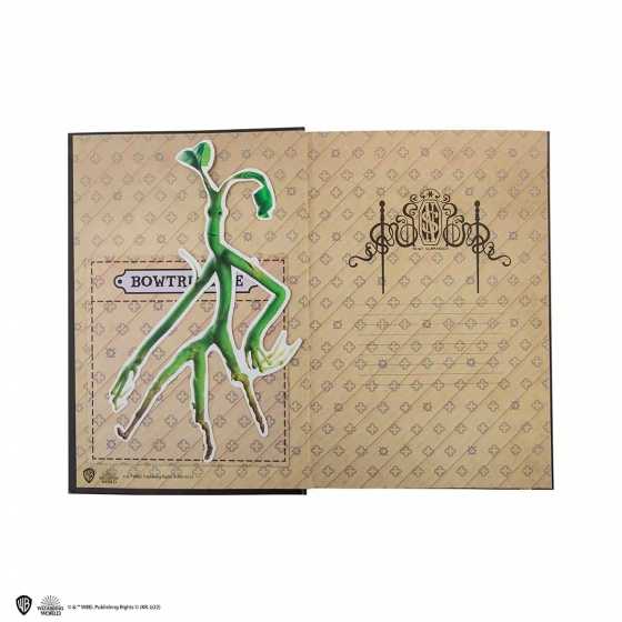 Carnet rigide Norbert Dragonneau - Newt Scamander - Animaux Fantastiques - Fantastic Beasts - Moriarty