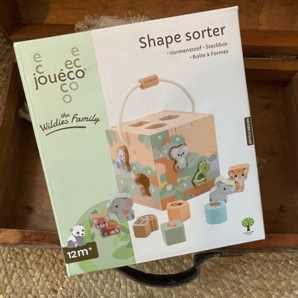 Cube de formes The Wildies Family - Jouéco