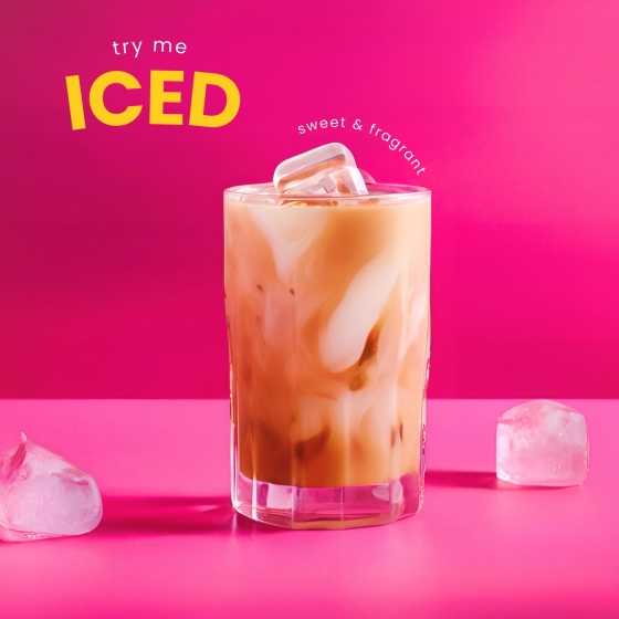 Monsoon Hills – Masala Chai indien authentique - Wild Chai