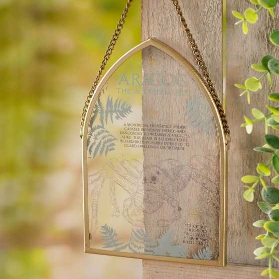 Plaque Aragog - Harry Potter de Warner Bros