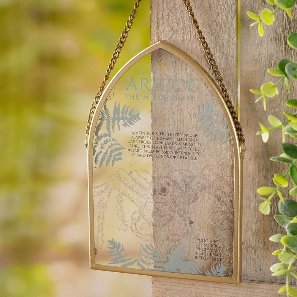 Glasplatte Aragog - Harry Potter von Warner Bros