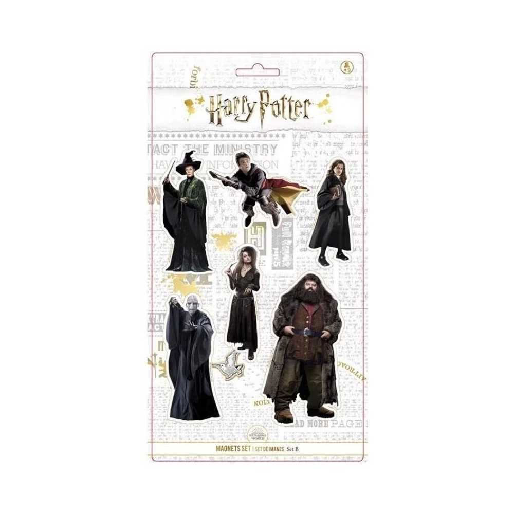 Set bestehend aus 6 Magneten - Harry Potter