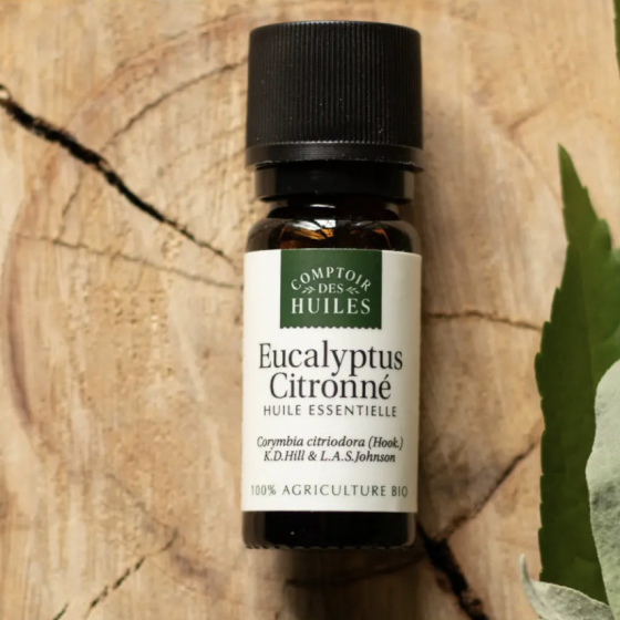 Ätherisches Öl aus Zitronen-Eukalyptus BIO 10 ml
