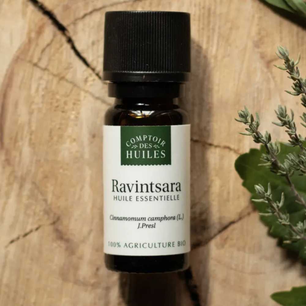 Ätherisches Öl Ravintsara BIO 10 ml