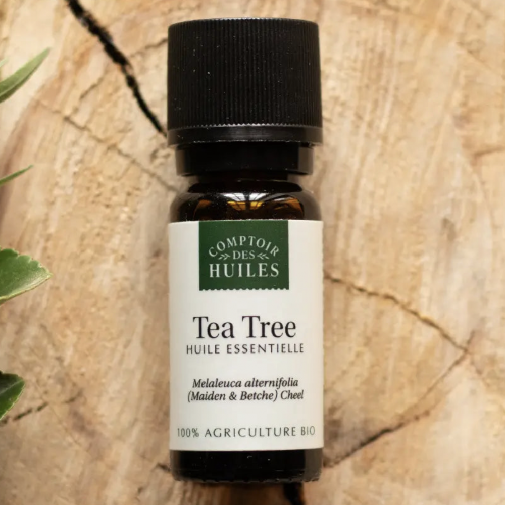 Huile Essentielle de Tea Tree BIO 10ml