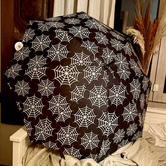 Grosser Regenschirm Spider