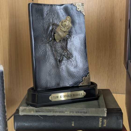 Basilisken-Zahn und Tom Jedusors Tagebuch - Harry Potter