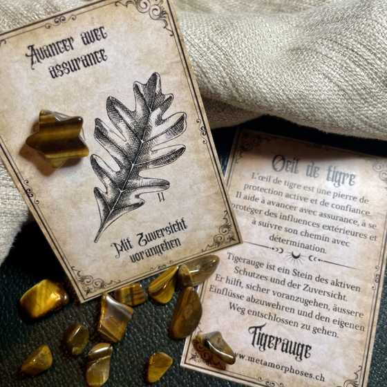 Protection, assurance & direction – Carte cadeau avec étoile en Œil de tigre – Petit talisman