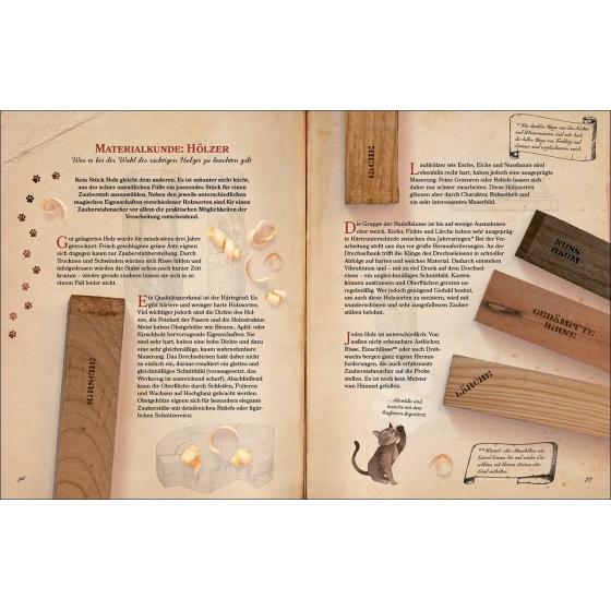 Zauberstäbe und ihre Geheimnisse - Buch