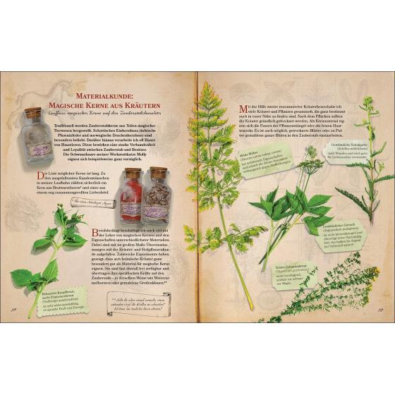 Zauberstäbe und ihre Geheimnisse - Buch