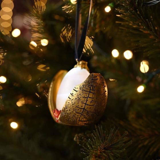 Oeuf d’Or - Décoration suspendue LED Alumni Harry Potter de Warner Bros