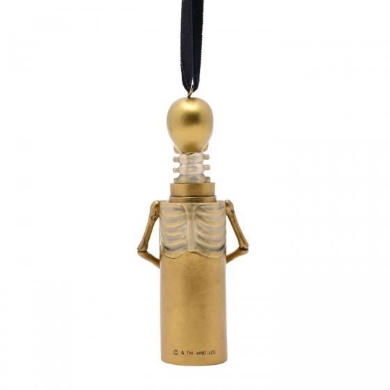 Poussos (Skelegro) - Décoration suspendue LED Alumni Harry Potter de Warner Bros