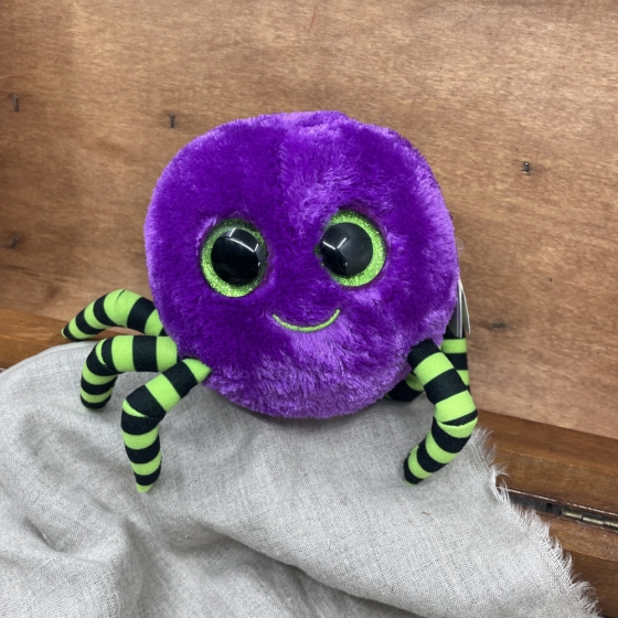 Ty Spinne Plüschtier - Crawly