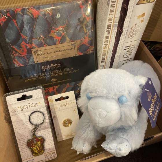 School of Magic – Deluxe-Überraschungsbox „Harry Potter“-Figuren