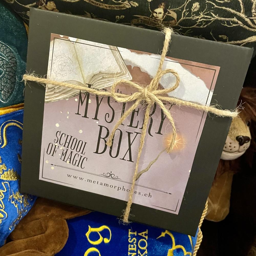 School of Magic - Mystery Box Harry Potter