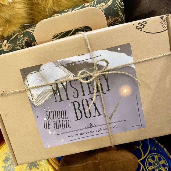 School of Magic – Deluxe-Überraschungsbox „Harry Potter“-Figuren