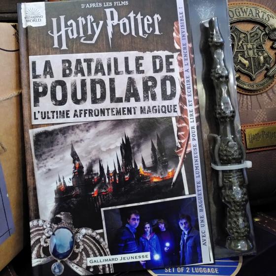 La bataille de Poudlard – Livre Harry Potter