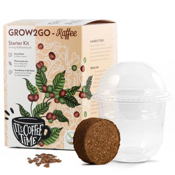 Kit à planter Caféier nain – Faites pousser votre propre caféier