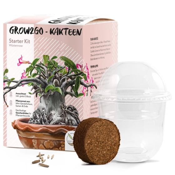 Kit à planter Rose du désert – Adenium obesum à faire pousser