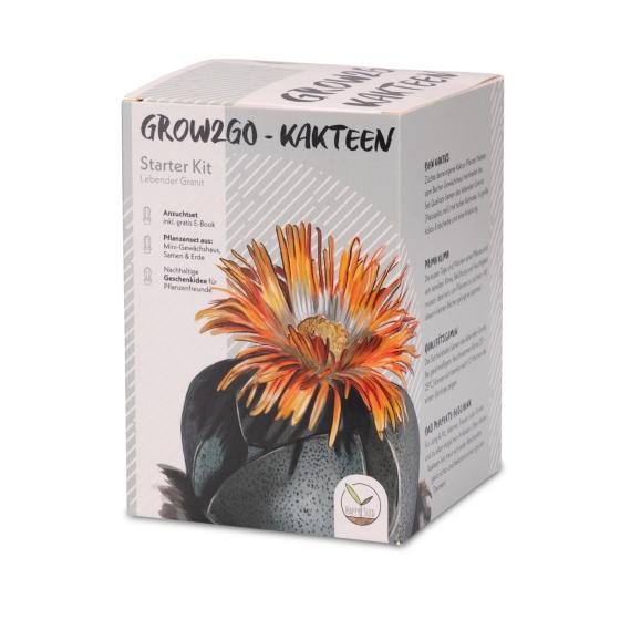 Kit à planter Granit vivant – Pleiospilos nelii à faire pousser