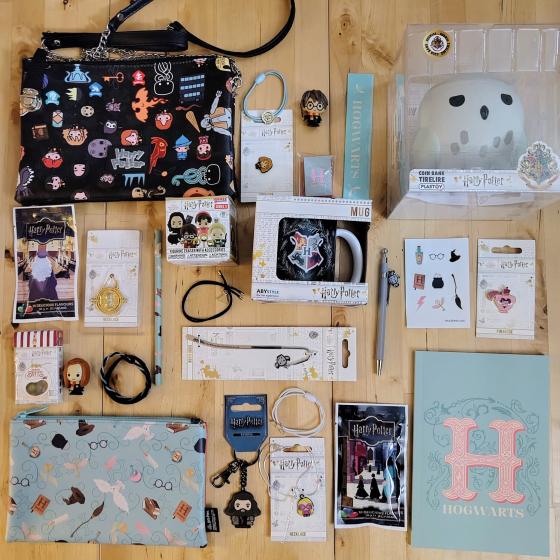 "Welcome to Hogwarts 2026" (fille 8-12 ans)- Maxi Calendrier de l’avent - Harry Potter