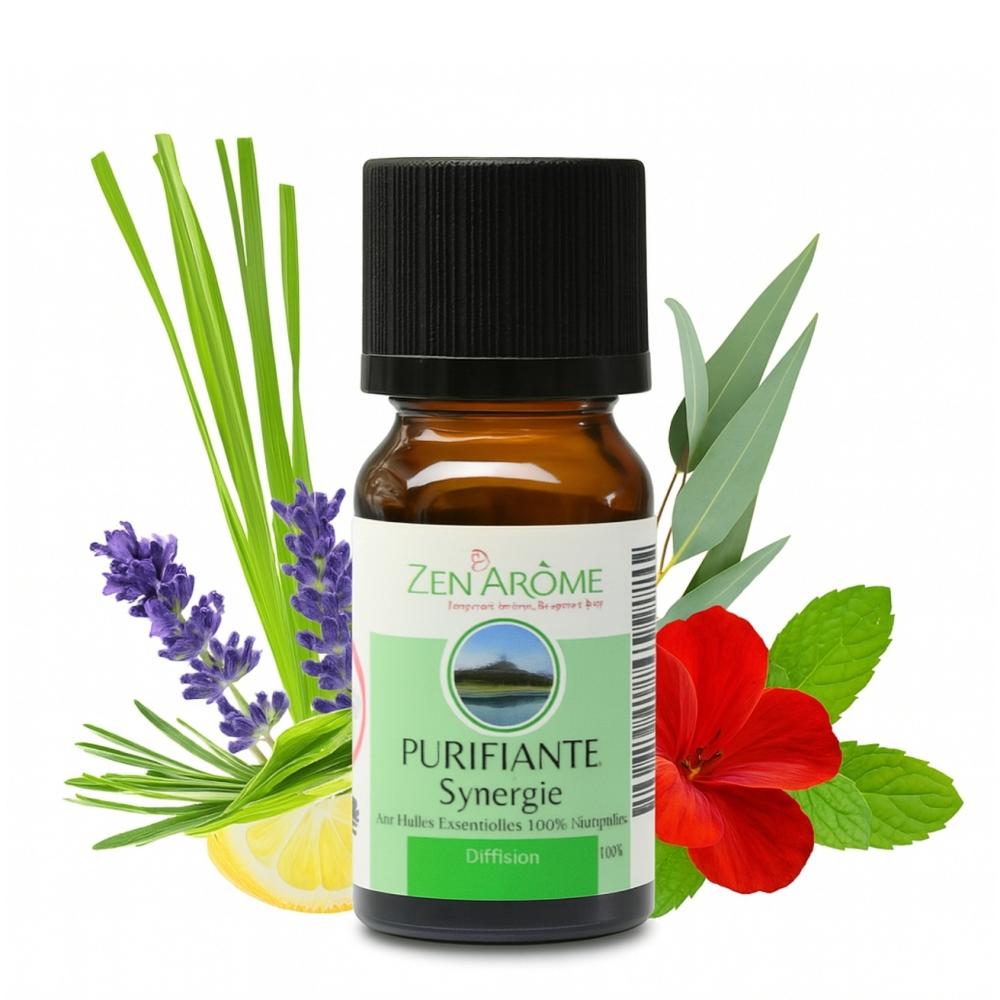 Ätherische Ölmischung Reinigend – Zitronig & Frisch – Zen'Arôme – 10 ml