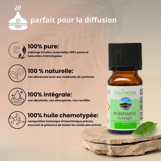 Ätherische Ölmischung Reinigend – Zitronig & Frisch – Zen'Arôme – 10 ml