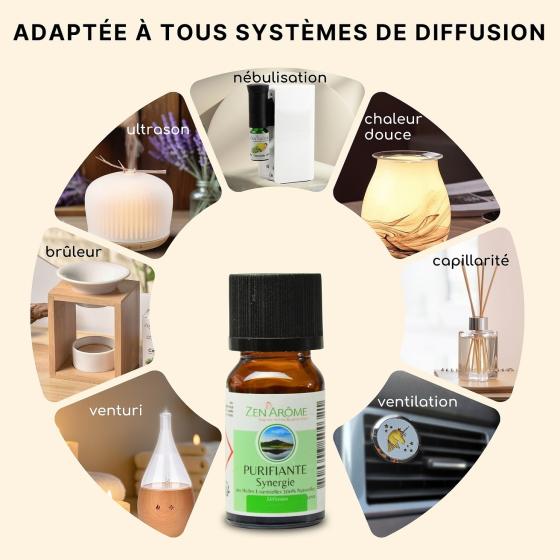 Ätherische Ölmischung Reinigend – Zitronig & Frisch – Zen'Arôme – 10 ml