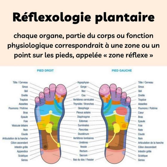 Rouleau de Massage des Pieds en Bois – Masseur Plantaire à 5 Barres et 30 Boules