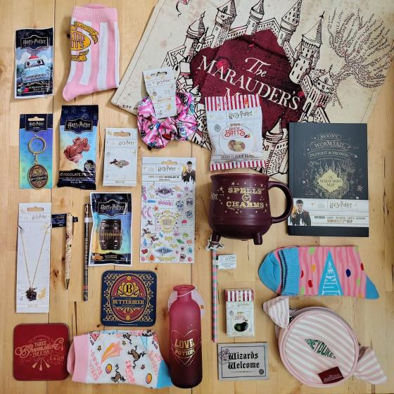 From Hogwarts to Hogsmeade - Maxi Calendrier de l’avent 2026- Harry Potter