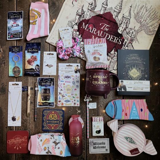 From Hogwarts to Hogsmeade - Maxi Calendrier de l’avent 2026- Harry Potter