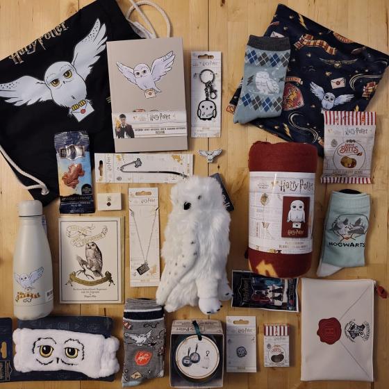 Hedwige - Maxi Calendrier de l’avent 2026 Harry Potter