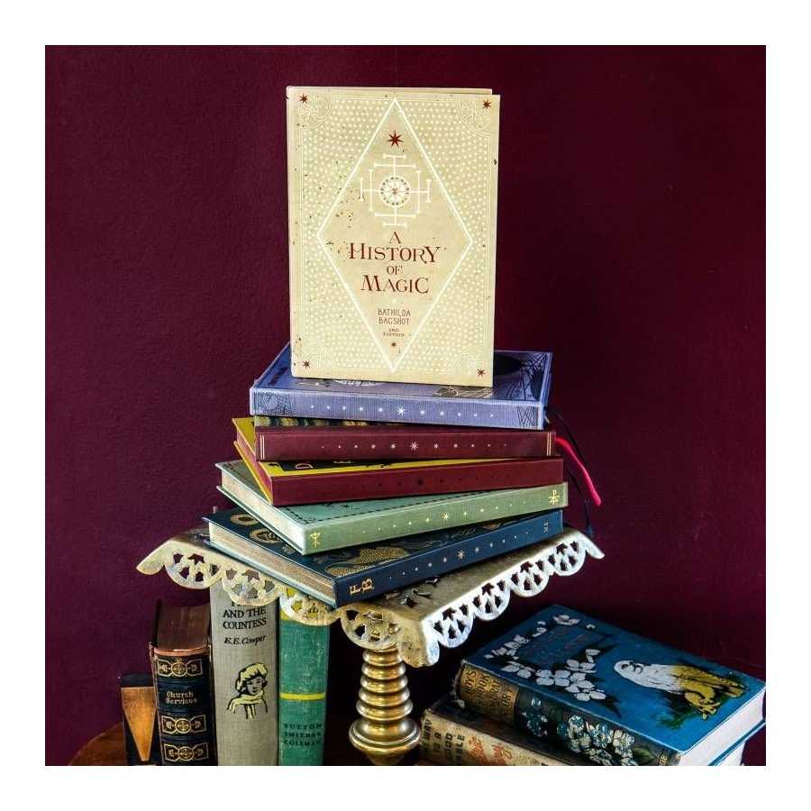 A History of Magic Journal - Harry Potter - Minalima