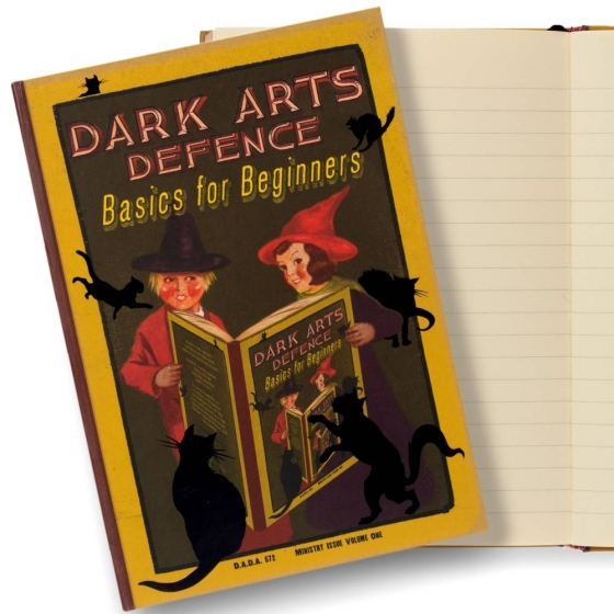 Dark Arts Defence: Basics for Beginners Journal