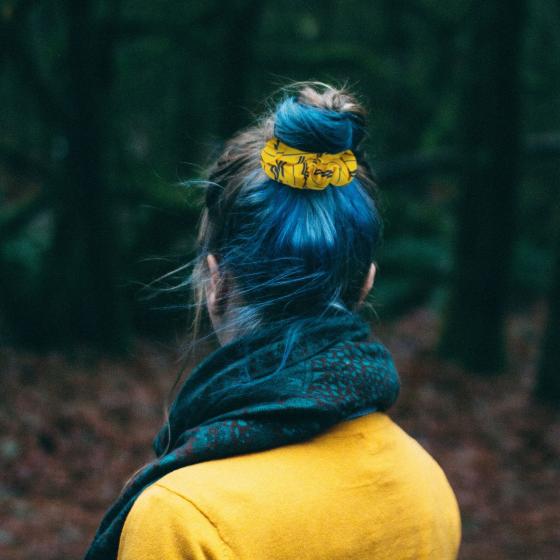 Haarschmuck Hufflepuff-Classic - Harry Potter