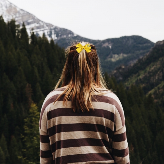 Accessoires pour cheveux Poufsouffle- Classic - Harry Potter