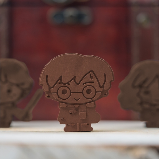 Moule à chocolat/glaçon Harry Potter- Kawaii