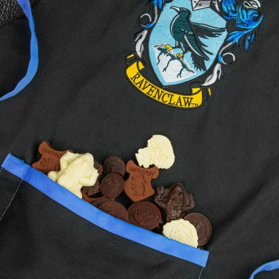 Schürze Ravenclaw - Harry Potter