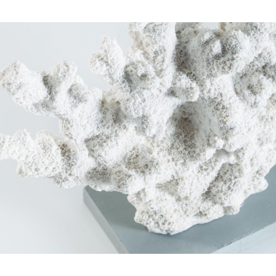 Décoration à poser, imitation corail, thème marin.